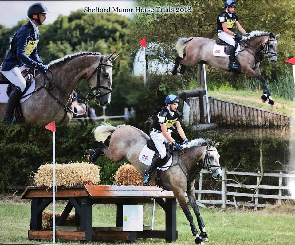 Gemini Sports Horses